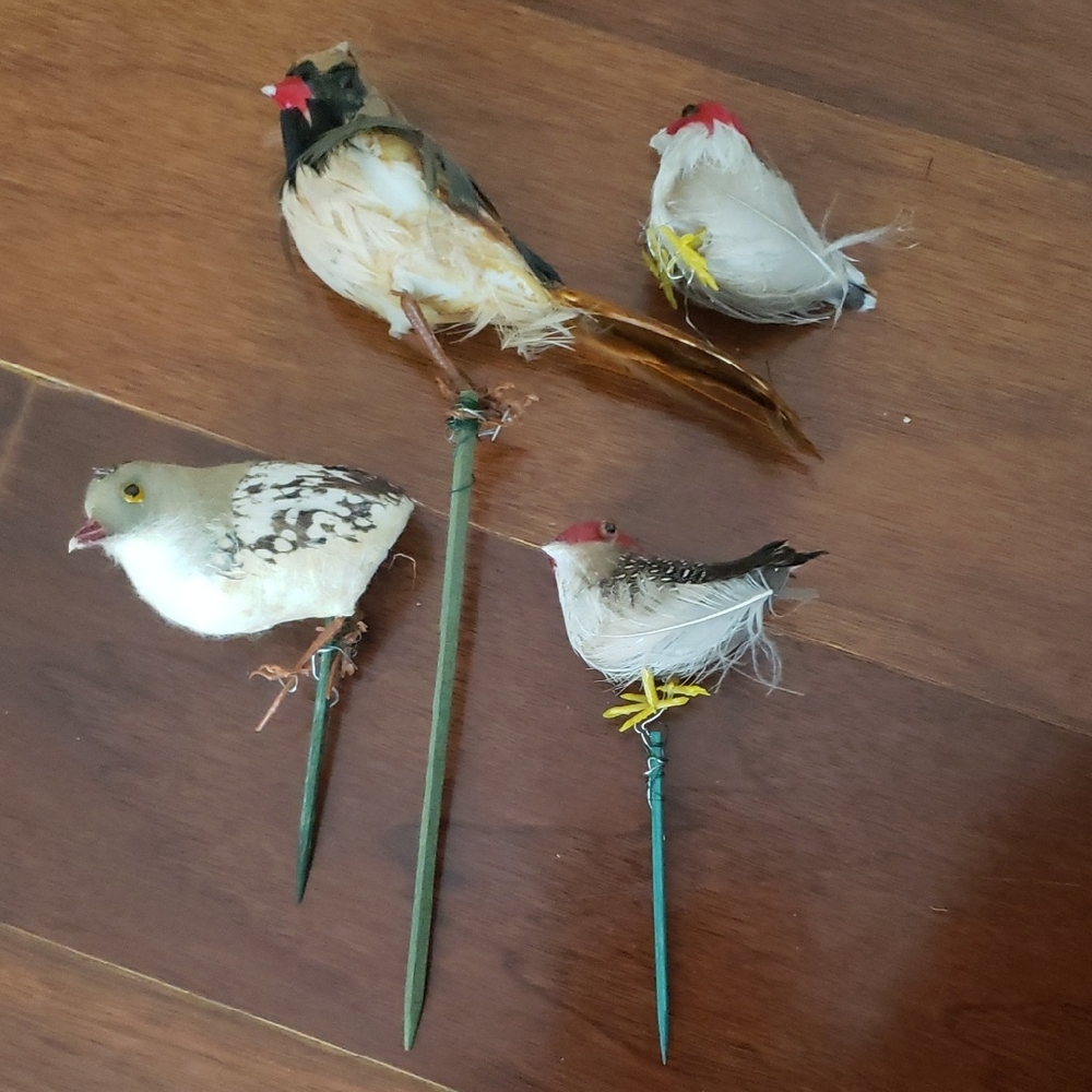 Decorative Feather Bird Decorati- Assorted White, Brown, and Tan - Preloved